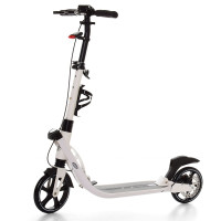 Самокат дорослий iTrike SR 2-015-3-W (white)